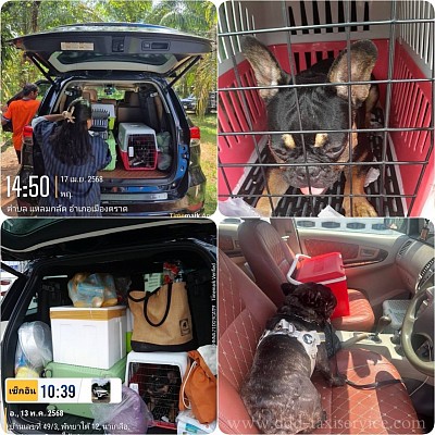 Taxi charter